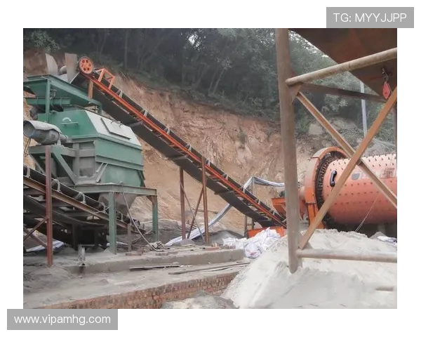 皇冠百家乐多玩法介绍，满足不同玩家的多样化需求