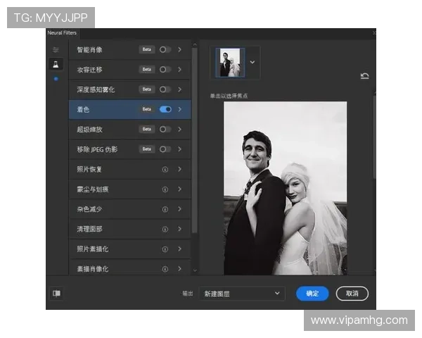 新2管理网官网最新版本下载指南及安装步骤详细解析帮助玩家快速上手
