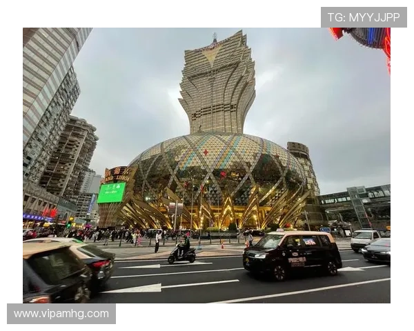 澳门总统的产生方式与选举流程全面解析，帮助你深入理解澳门政治体制
